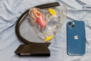 性感講習で使用する、膣口から腟内の透明プラスチック模型